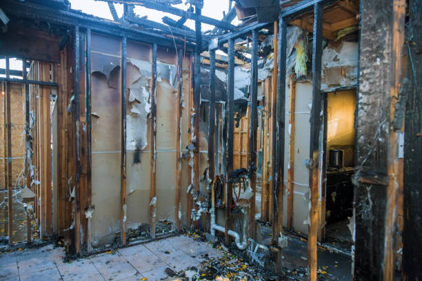 Professional Smoke Damage Removal technician working in Mount Cobb, PA